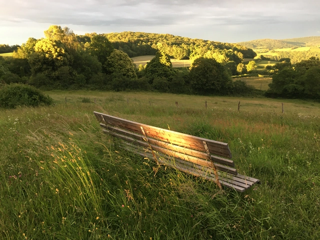 Banc dans le jardin avec vu sur le Morvan